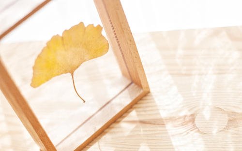 11.有时候我为一个人做所有事情，但是没有什么比其他人更好。