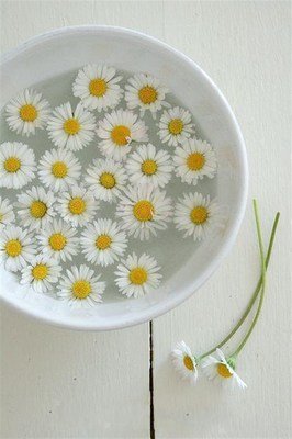 11.用温柔的心去表达我的爱！写上你的名字，想一想你的容貌，令人难忘的温柔的眼睛，你是一个为月光感到羞耻的女人，爱你，我将用一辈子！