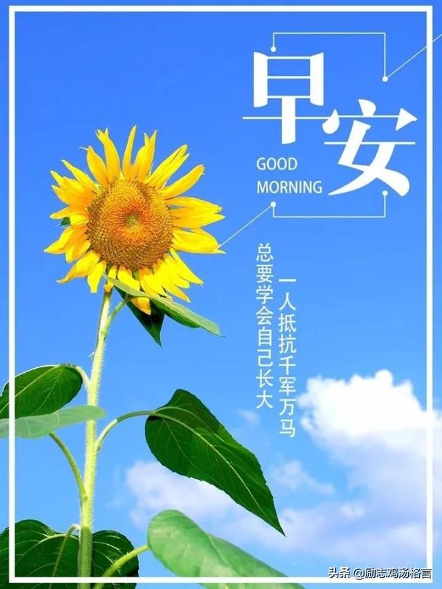 12.每天快乐！公鸡在枕头上打鸣，夜晚的烟气又回来了，因为我想着我的余生，那是繁荣而宏伟的，我的眼睛是空的。五十年来，这已成为梦想。