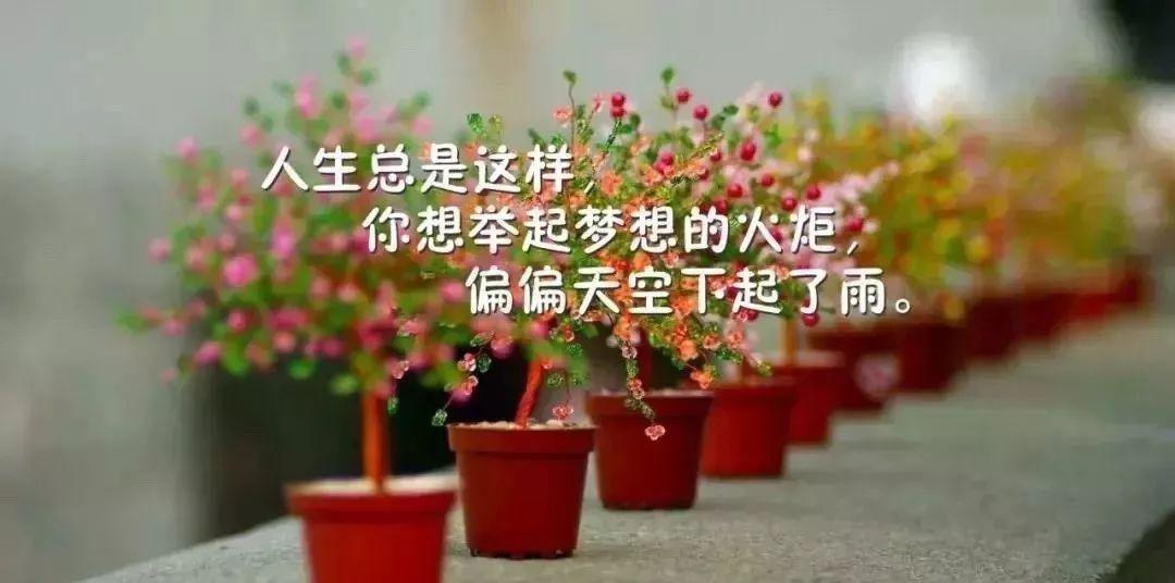 27.真正爱你的人，即使有数百万个理由放弃你，也总会找到一个坚持的理由。