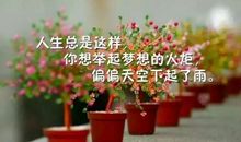 抖音吸引人点赞关注的句子 抖音容易上热门的句子