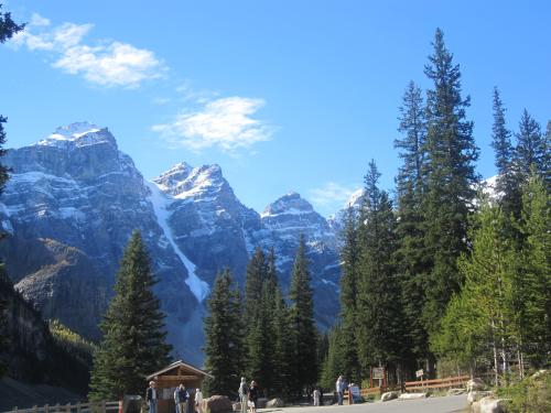 10.也许，父母基本上不希望从自己的孩子那里得到很多回报。