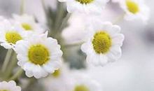 珍惜亲情的句子或名言警句