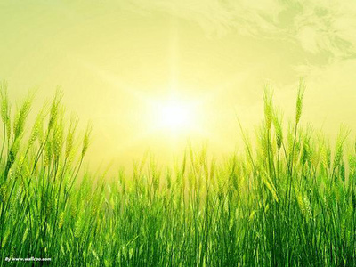 12.时间会使人们失去一切，但不能放弃家庭感情。