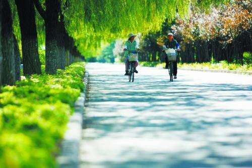 描述优美环境的句子1