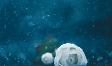 伤到心碎的句子古风