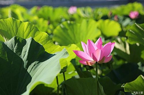 关于道德的座右铭2