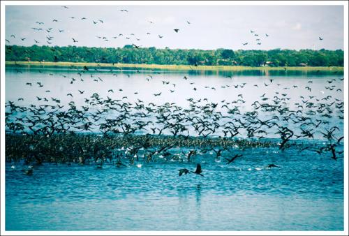 描述漂亮的句子