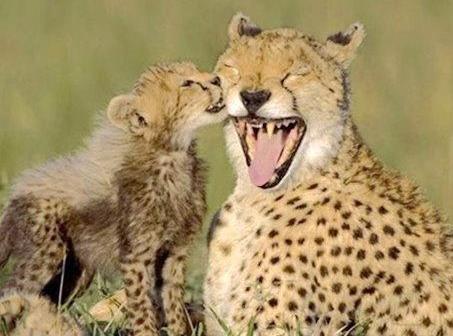 10.妈妈，节日快乐。每天开心。记住要照顾好自己的身体，我在这里要记住你。