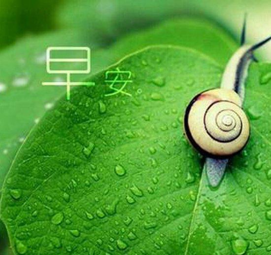 11.我们永远不要期望别人得到救赎，只有我们才能升华。在吸引同伴与我们见面之前，我已经准备了多少能力，否则无论人们的容貌如何美丽，事物变得多么动人，我们都将没有能力去理解和珍惜，我们最终会过去。 -姚谦的“味道”