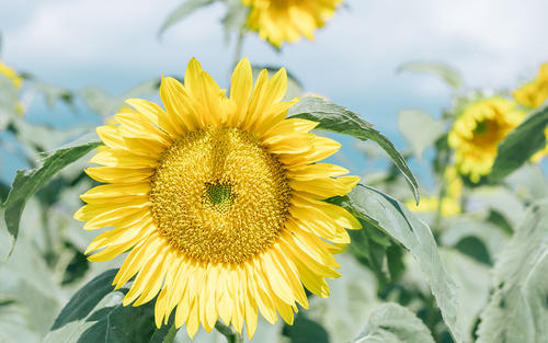 11.但是，那一刻，我意识到：家庭感情是如此重要。