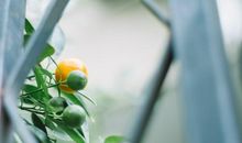 形容大家的开心的句子