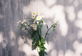 11.世界上有两种介面,一种是间歇性的,另一种则继续退化和沉迷。