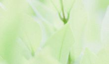 表达有玩很开心的句子