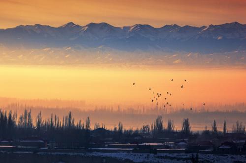 11.母亲,我祝福你,因为你知道如何养育儿子成为一个真正的人。