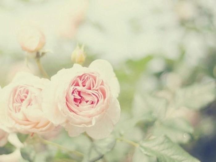 11.我出生在一个幸福的家庭。我的家人非常爱我，并以各种可能的方式照顾我。