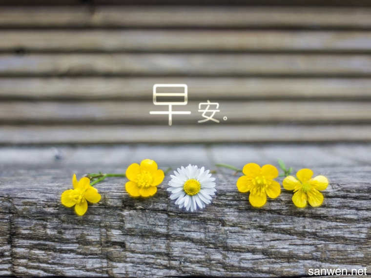 10.您要做的是别人无法替代的，那么您就不能责怪任何人，您无用！