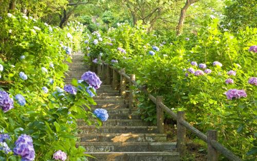 10.家庭情感就像被子一样不起眼,但可以带给您细致的照顾和温暖。