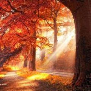 9.家人的感情就像风,雪和雪在温暖中吹来,带来无限的春天。