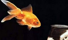 关于换位思考的句子