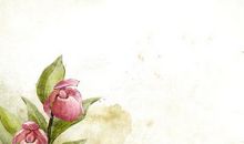 对朋友亲人失望的句子