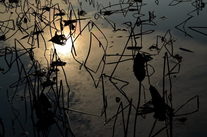 表达超然的句子