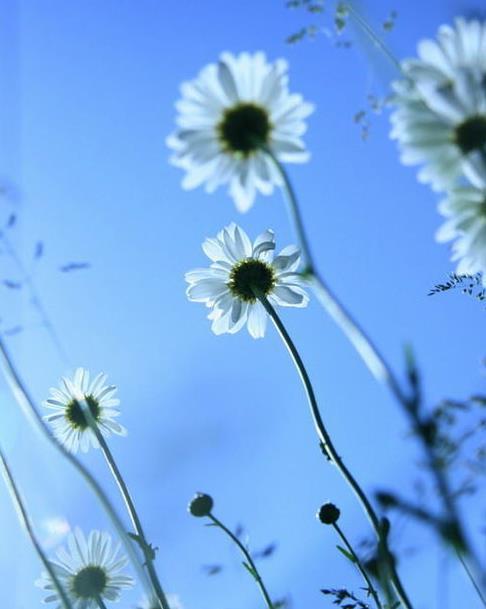 10.感到父亲在昏暗中的照顾,柔和的风抬起了窗玻璃。