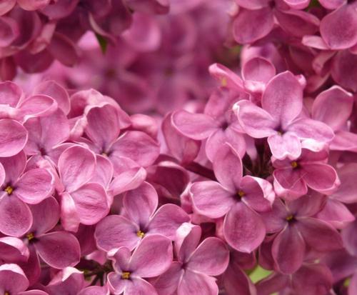 11.留守儿童的家庭感情非常薄弱，但是他们特别渴望获得更多的爱和关注。我忍不住诽谤我的家人，我忍不住想发脾气，然后我会再次责备自己。我累了，你很难过...