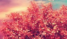 一家人亲情幸福的句子