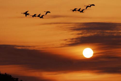 10.不管生活多么美好，总会有一个枯燥的日子。