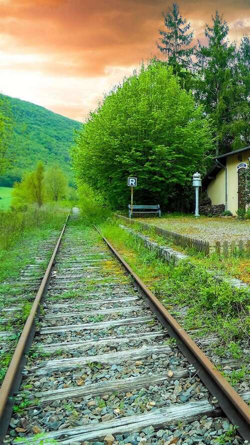 10.最后要明白，不管情感有多强烈，随着时间的流逝，它都会逐渐淡化成红色的尘土