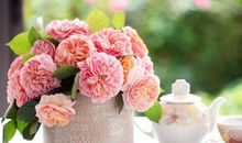 金钱换不了亲情的句子