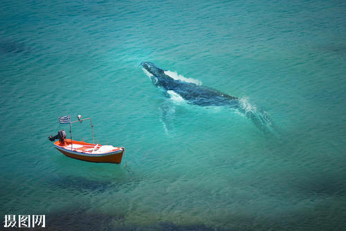 12.我的艺术应该只针对穷人。啊,真开心!当我接近这一点时,我应该多么高兴!