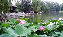 清华大学教师名言