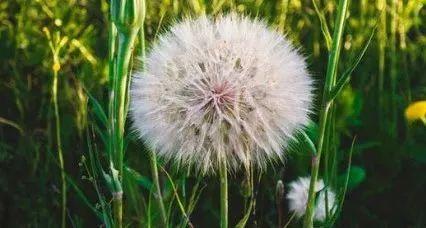 12.不要为过去感到遗憾，对现在充满信心，对未来充满希望。