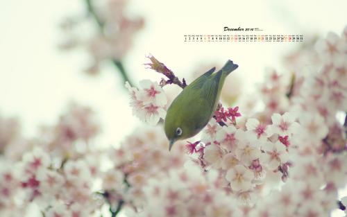 11.我每天都在等你。慢慢地,我开始停止恐慌。今天有点冷,天快黑了。突然,我不想等你。