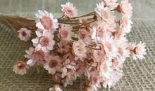 委屈不开心假装开心的句子