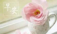 早会口号正能量