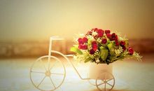 外婆外公带外孙的开心句子