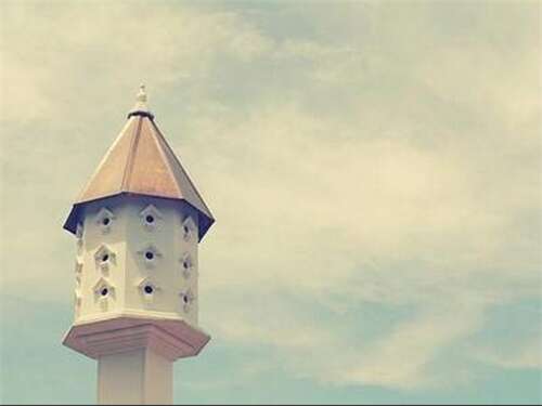 用图片谈论情绪短语