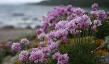 表达亲情最重要的句子