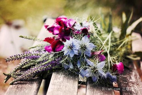 10.家庭感情是雨水，它消除了烦躁情绪，使光线凉爽。亲情就是风，它吹走了悲伤，留下了幸福；家庭之爱是阳光，它带走了黑暗而留下了光。