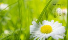 和朋友出游很开心的句子