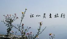 别再为错过了什么而懊悔