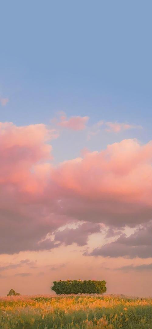 11.家庭感情是最大的。无论您是快乐，沮丧，痛苦还是犹豫，它总是会在您的旅途中轻轻行走，并在您的一生中安静地陪伴您。