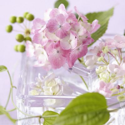 12.当你冷的时候，想想你的母亲；当你成功的时候，想想你的母亲；当你失败时，想想你的母亲；当你生病时，想想你的母亲；当你迷路时，想想你的母亲。