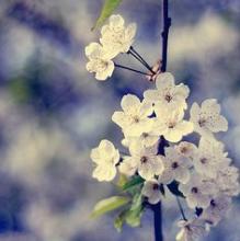 12.家庭关系中有一种朴素和自然的感觉。无需刻意制作它。当我们意识到这一点时,它已经悄悄渗入我们的指尖。