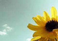 11.它不会给我们带来难忘的经历,但它总是为我们提供必不可少的营养。