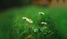 珍惜时间亲情的句子