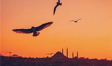 感悟亲情和成长感悟的句子